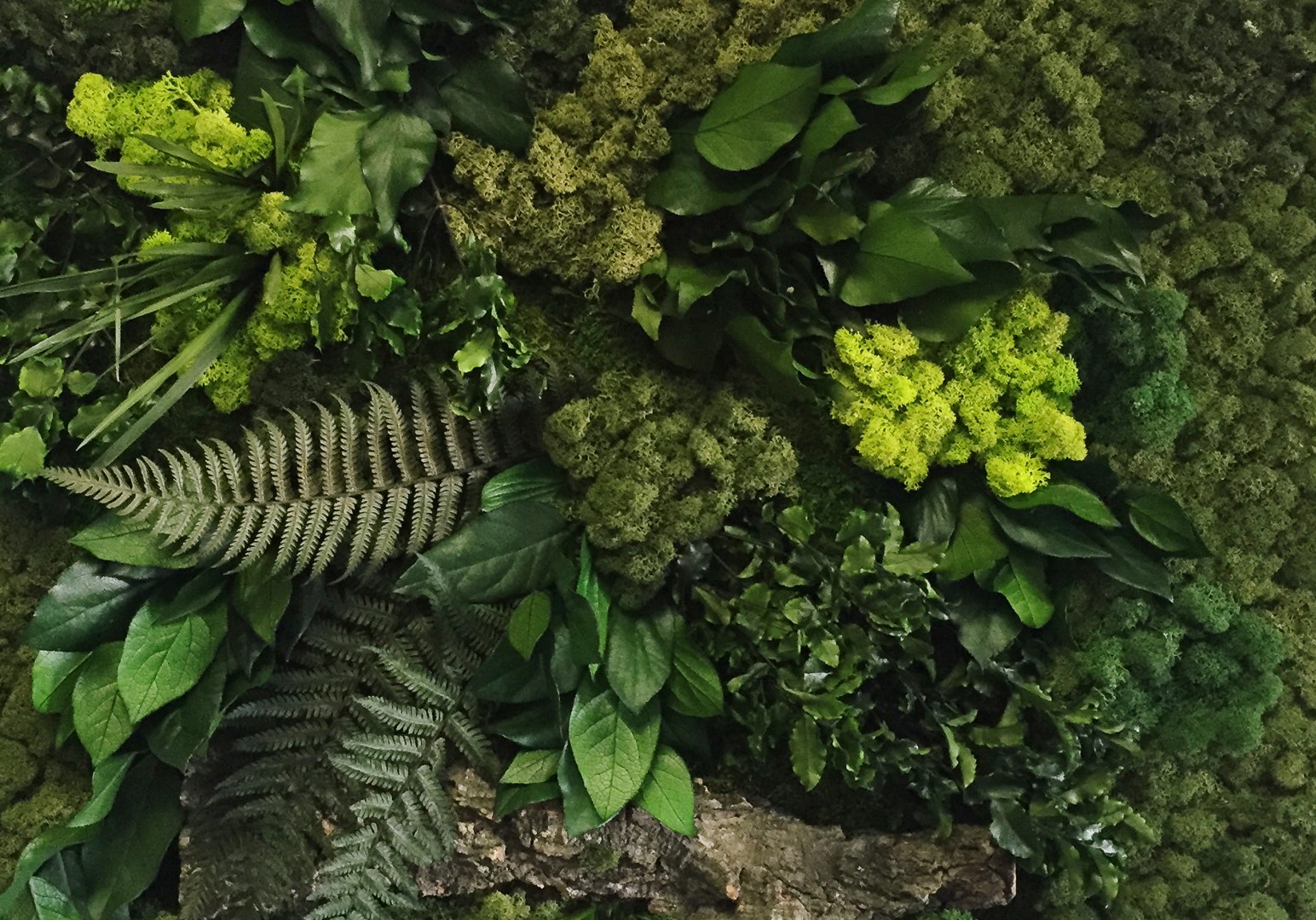 verde verticale 2